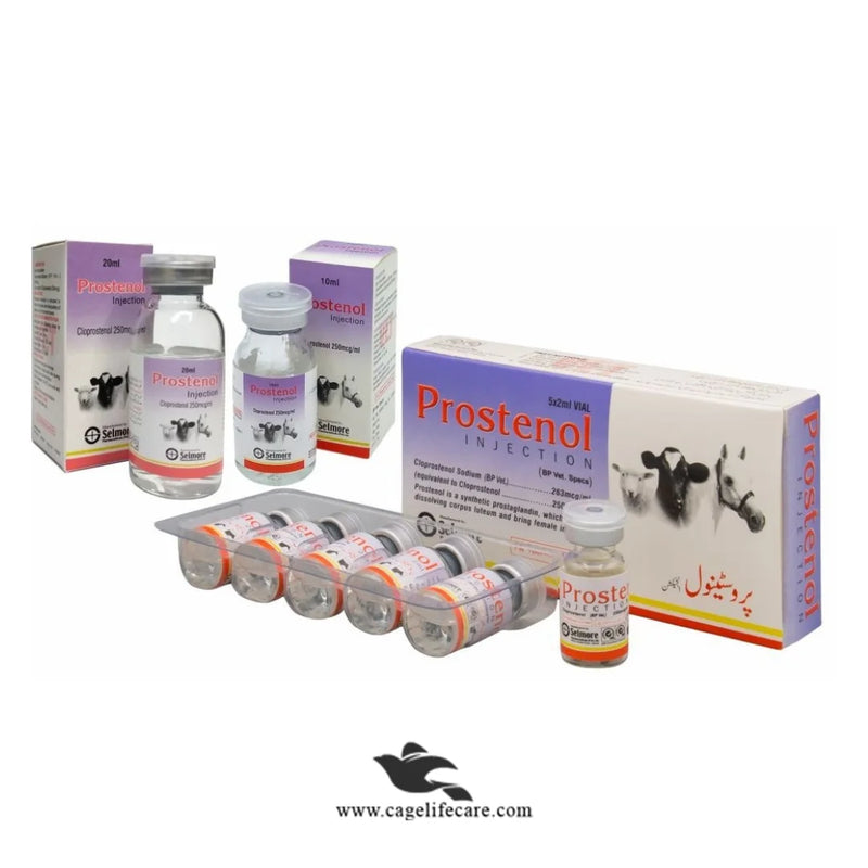 Prostenol Injection – Synthetic Prostaglandin Therapy for Reproductive Health for Livetstock Animals