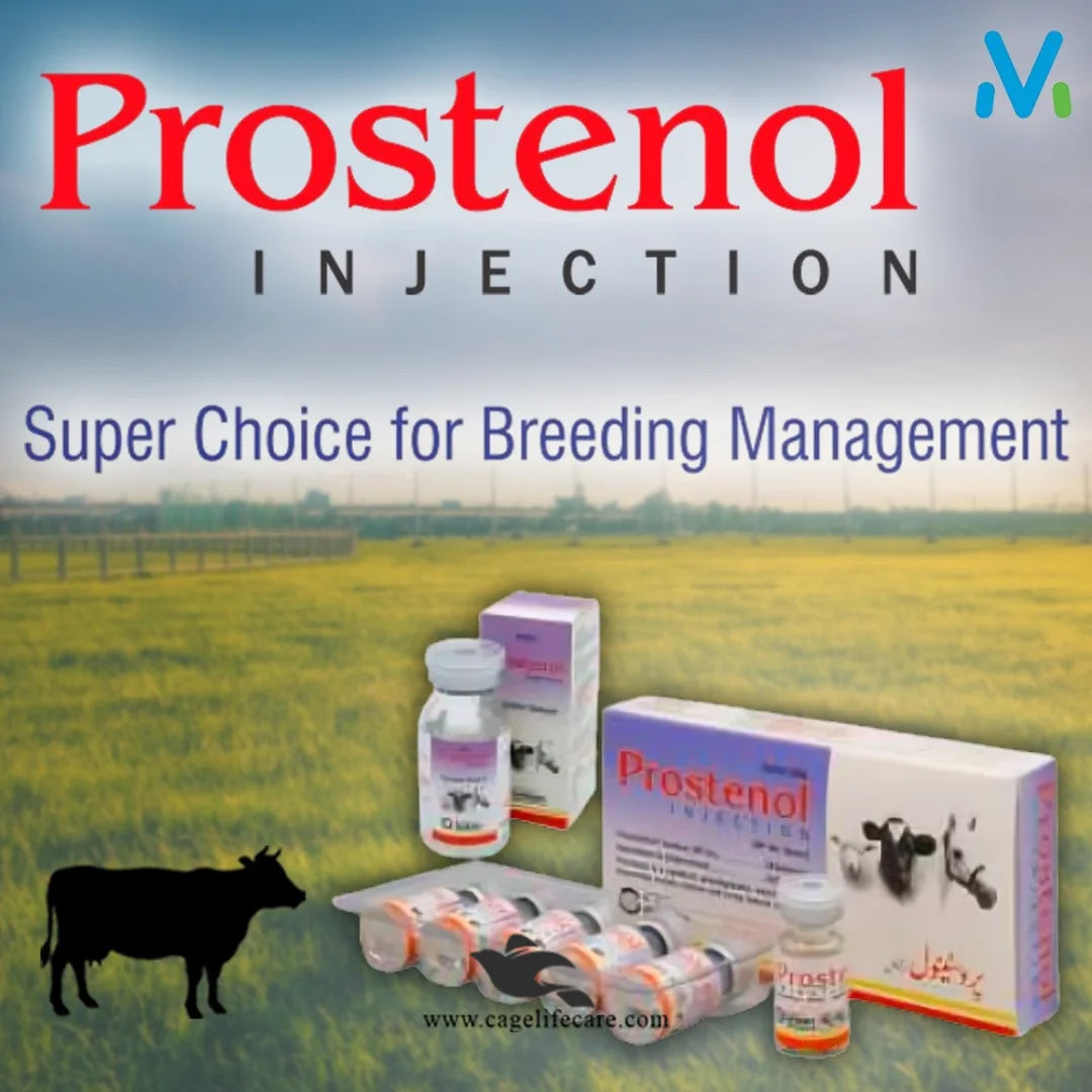 Prostenol Injection – Synthetic Prostaglandin Therapy for Reproductive Health for Livetstock Animals