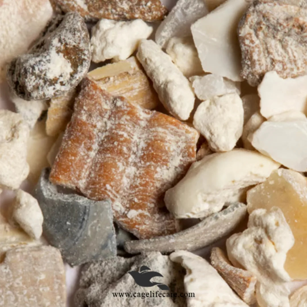 Psittacus Calcium Grit Coarse – For Medium & Large Birds