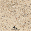 Psittacus Calcium Grit Fine — Mineral Calcium Supplement for Small and Medium Birds