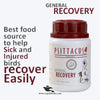 Psittacus General Recovery – Nutritional Support for Sick or Injured Birds