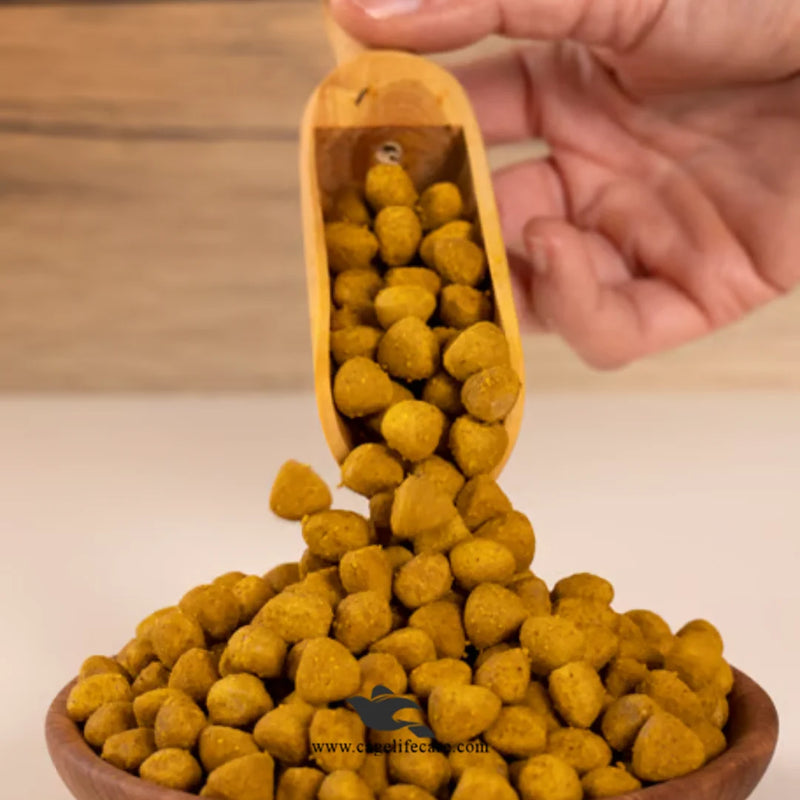 Psittacus High Energy Breeding Pellets – Supports Birds’ Reproductivity