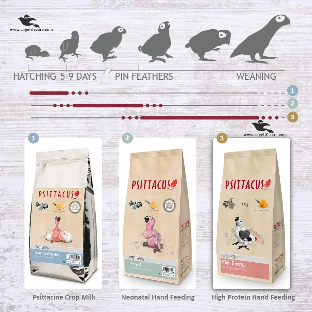 Psittacus High Energy – Hand Feeding Formula