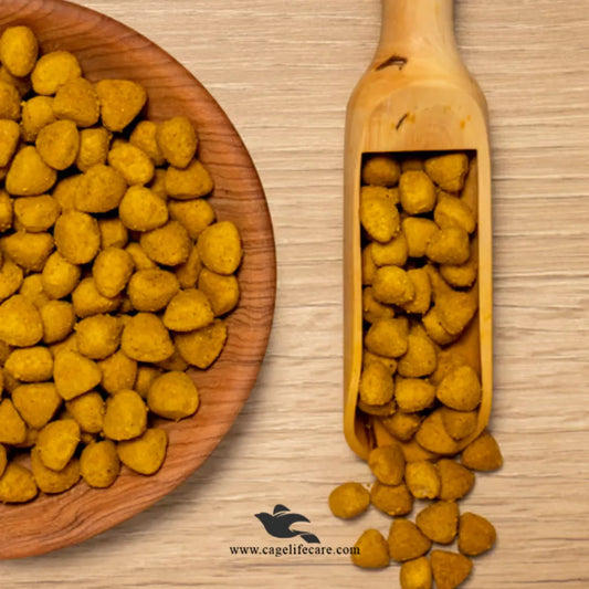 Psittacus High Protein Breeding Food – Imported from Spain