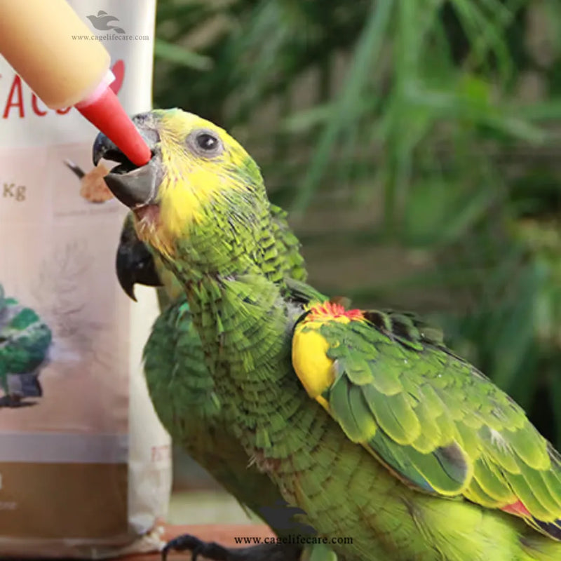 Psittacus High Protein – Hand Feeding Formula