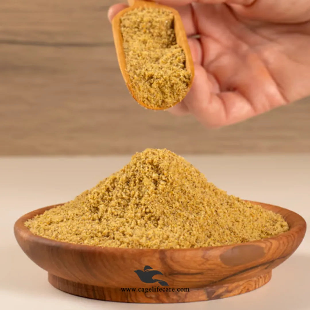 Psittacus Lory Special Formula Packaging – Imported from Spain