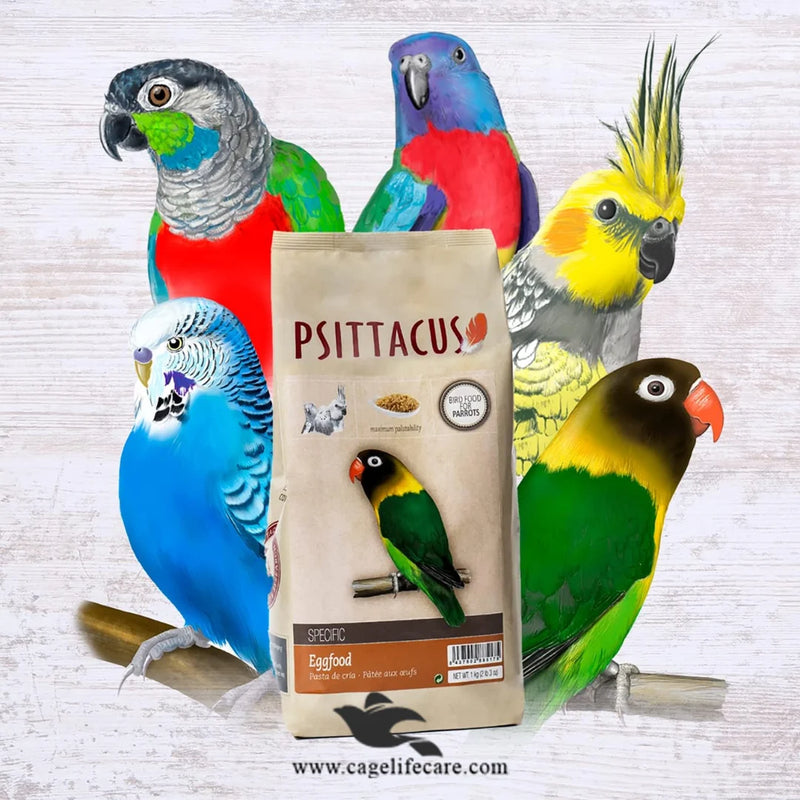 Psittacus Parakeets Egg Food – Complementary Food for Parakeets
