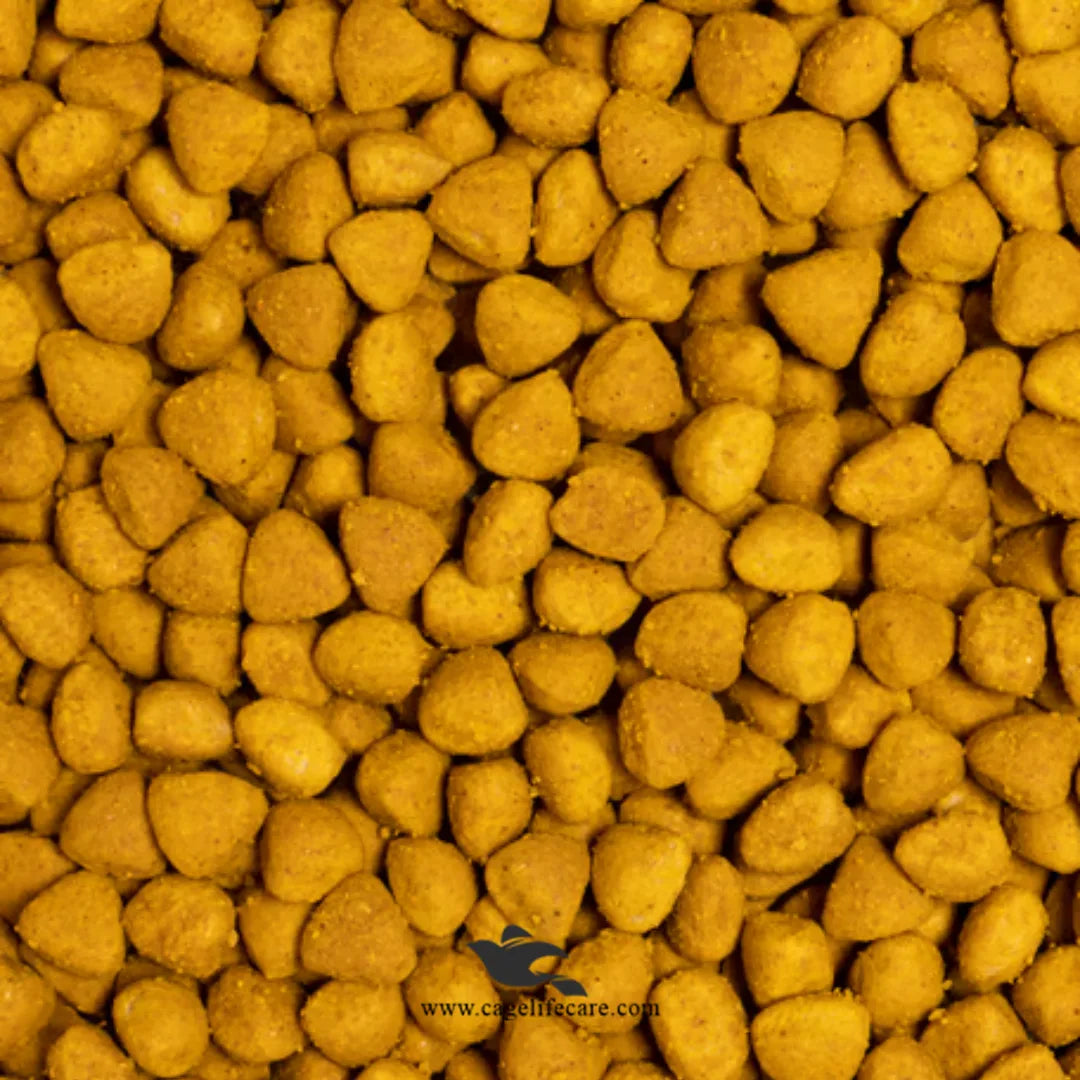 Psittacus Breeding Pellets for African Greys, Macaws, and Amazons