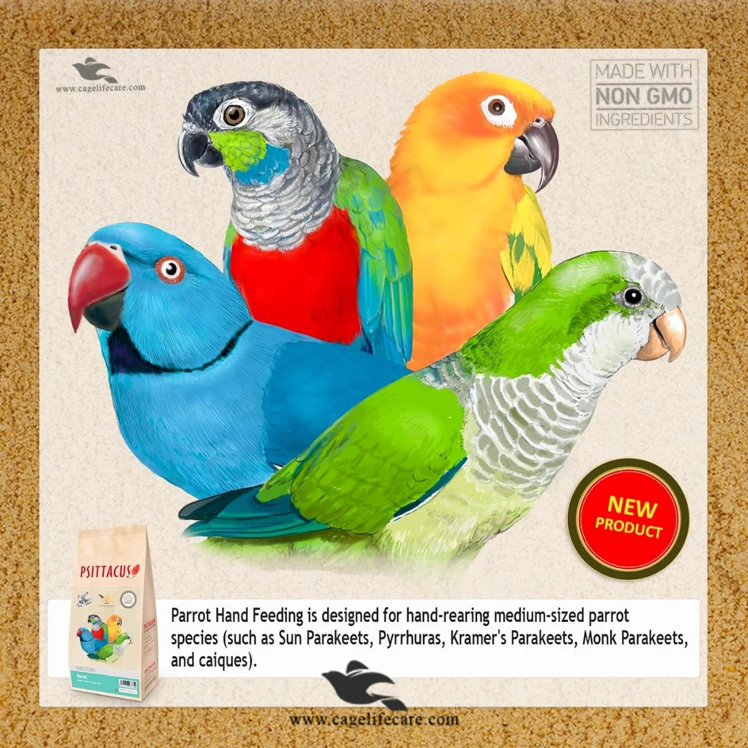Psittacus Parrot – Hand Feeding Formula