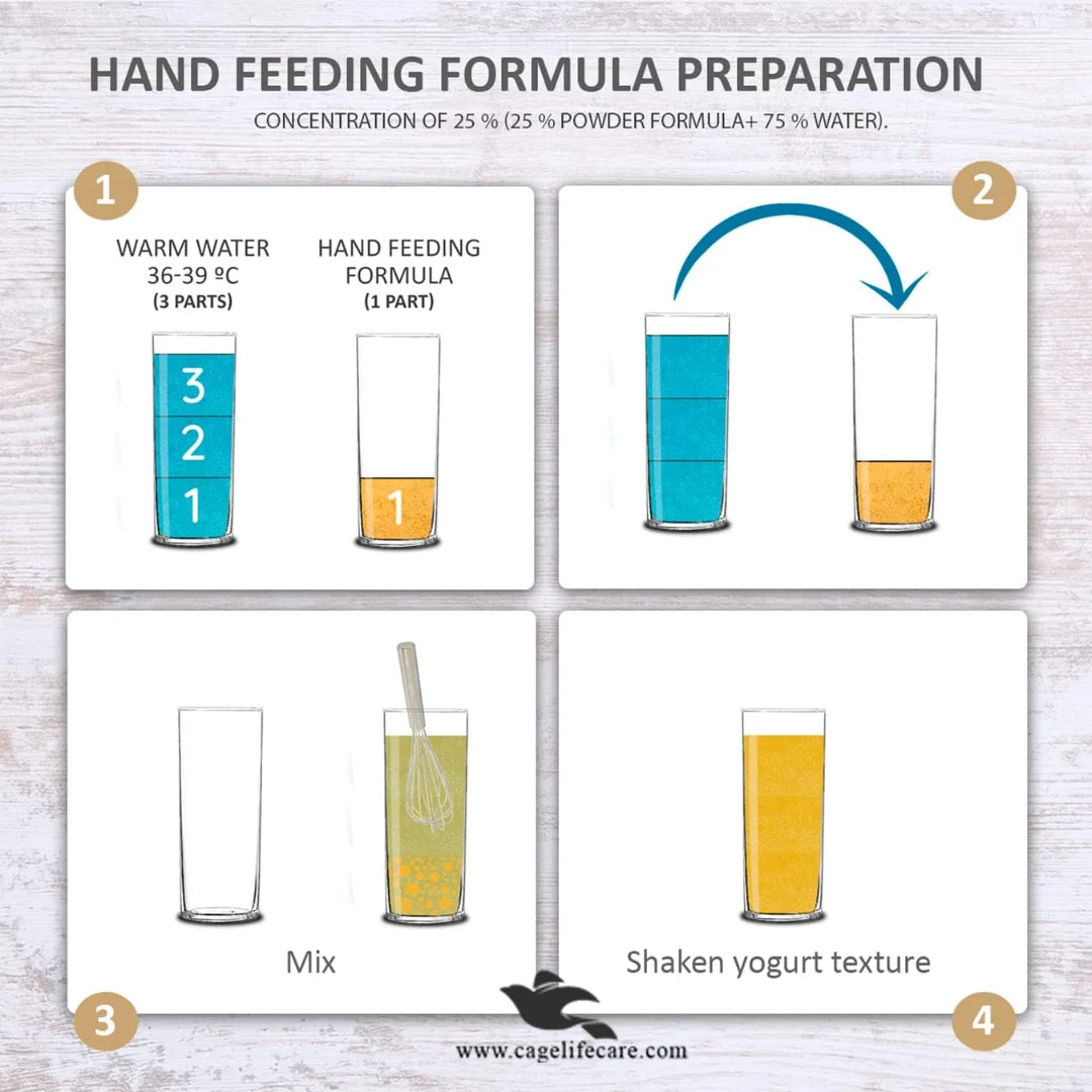 Psittacus Parrot – Hand Feeding Formula