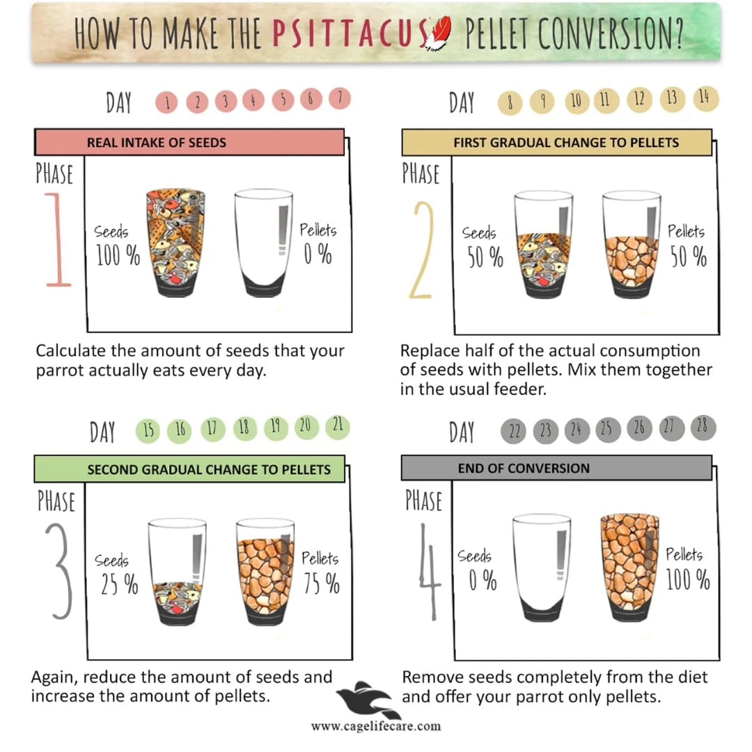 Psittacus Pellets Minor Formula – Complete Nutrition for Small Parrots