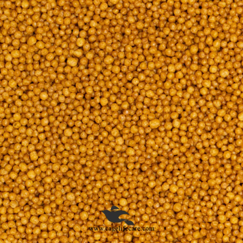 Psittacus Pellets Minor Formula – Complete Nutrition for Small Parrots