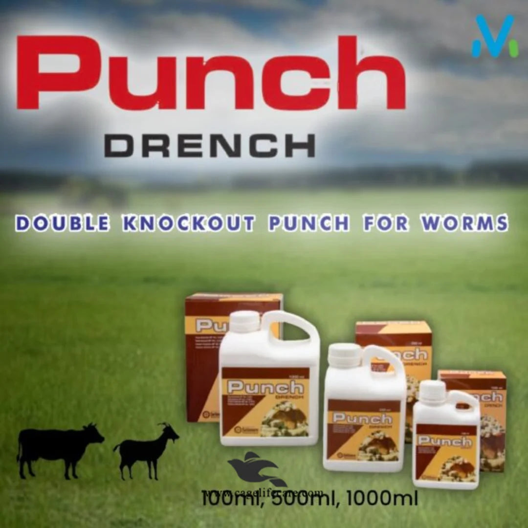 Punch Drench for Cattle, Goats & Sheep