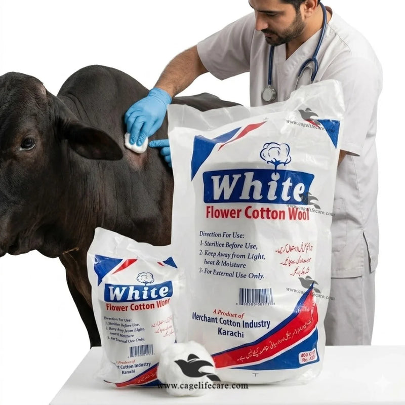 Pure Cotton Wool – Veterinary Use for Animals