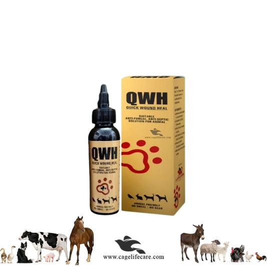Quick Wound Heal (QWH) – Antifungal & Antiseptic Solution for Cats, Dogs