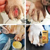 Quick Wound Heal (QWH) – Antifungal & Antiseptic Solution
