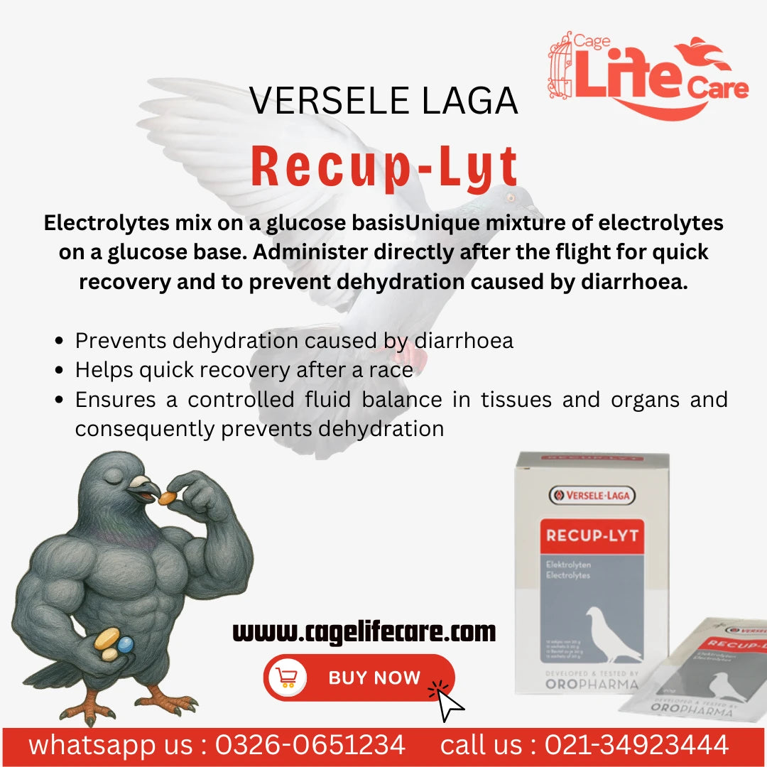 RECUP-LYT – Recovery & Electrolyte Supplement for Pigeons (Versele-Laga)