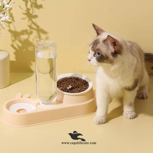 Rabbit Face 2-in-1 Pet Bowl for Cats and Dogs – Front View