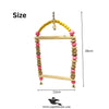 Rainbow Bead Double Perch Swing Toy with Natural Wood - Parrots & Birds