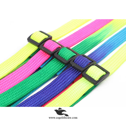 Rainbow Cat Collar – Adjustable, Colorful & Comfortable with Bell