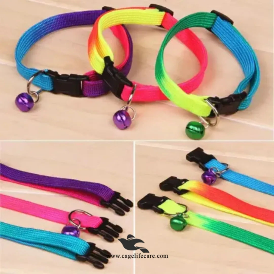 Rainbow Cat Collar – Adjustable, Colorful & Comfortable with Bell