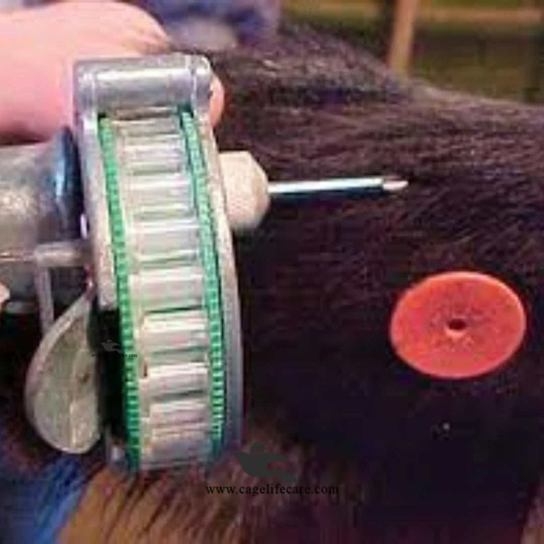 Farm Animal Weight Booster Implant
