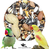 Raw Parrot Seed Mix
