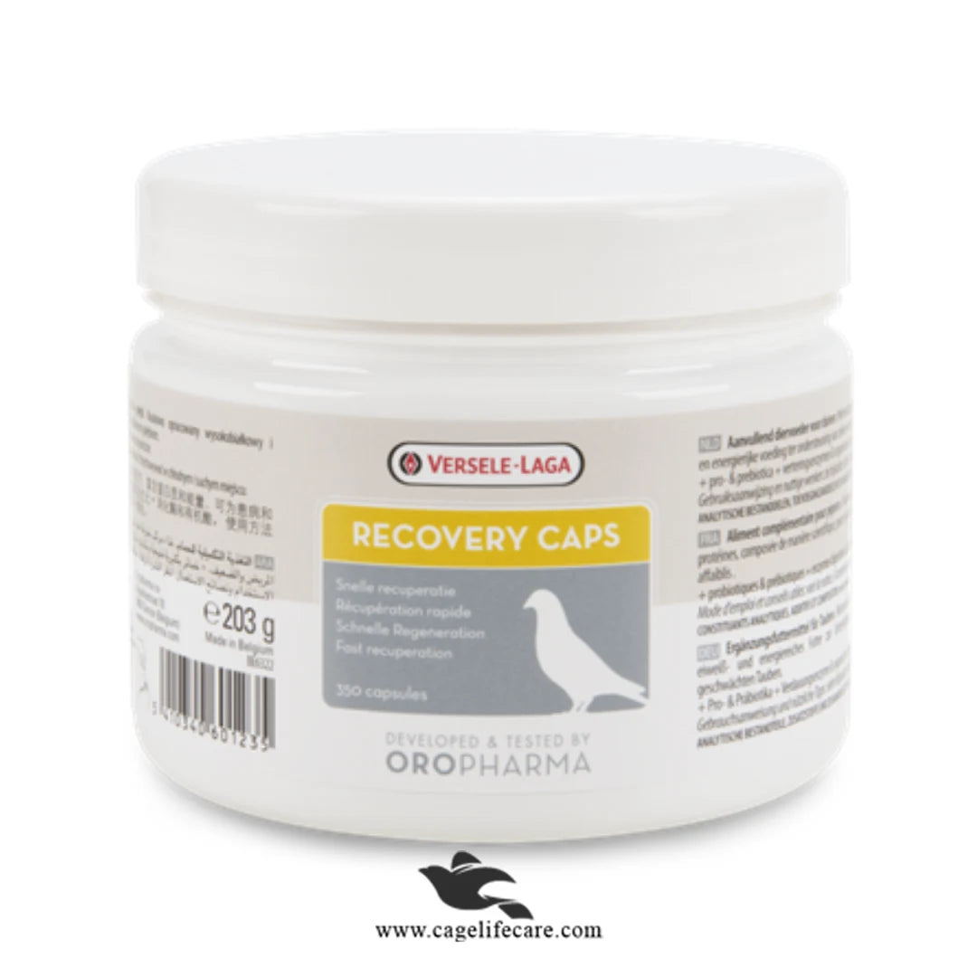 Recovery Caps for Pigeons – Fast Recovery & Health Support Pigeons Capsules