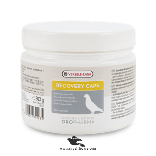Recovery Caps for Pigeons – Fast Recovery & Health Support Pigeons Capsules