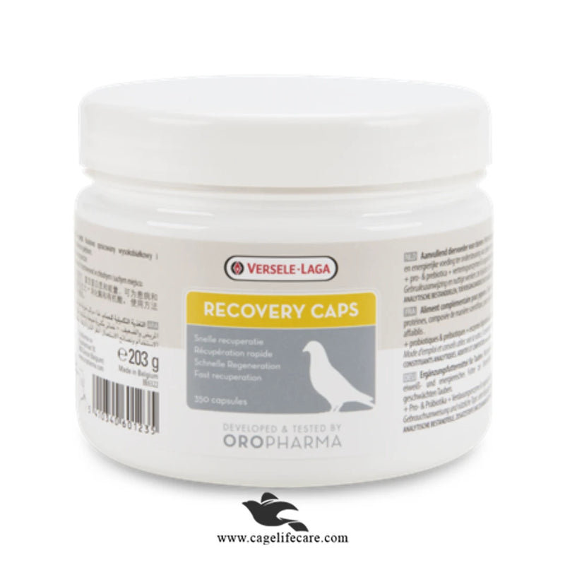 Recovery Caps for Pigeons – Fast Recovery & Health Support
