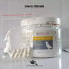 Recovery Caps for Pigeons – Fast Recovery & Health Support