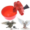 Red Auto Water Cup Drinker for Pigeons & Poultry