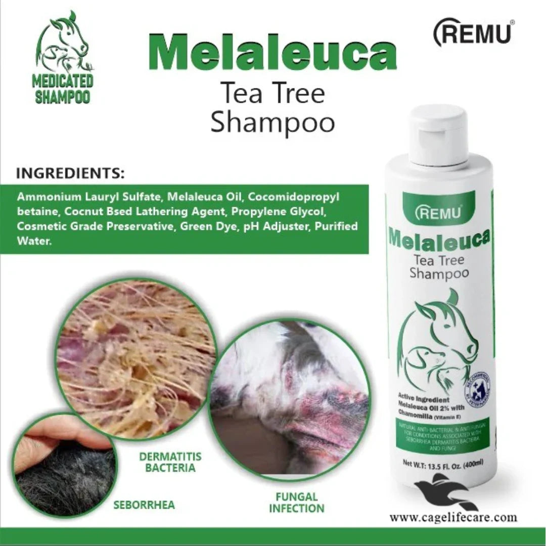 Remu Melaleuca Tea Tree Shampoo for Cats & Dogs