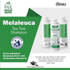 Remu Melaleuca Tea Tree Medicated Shampoo for Cats & Dogs