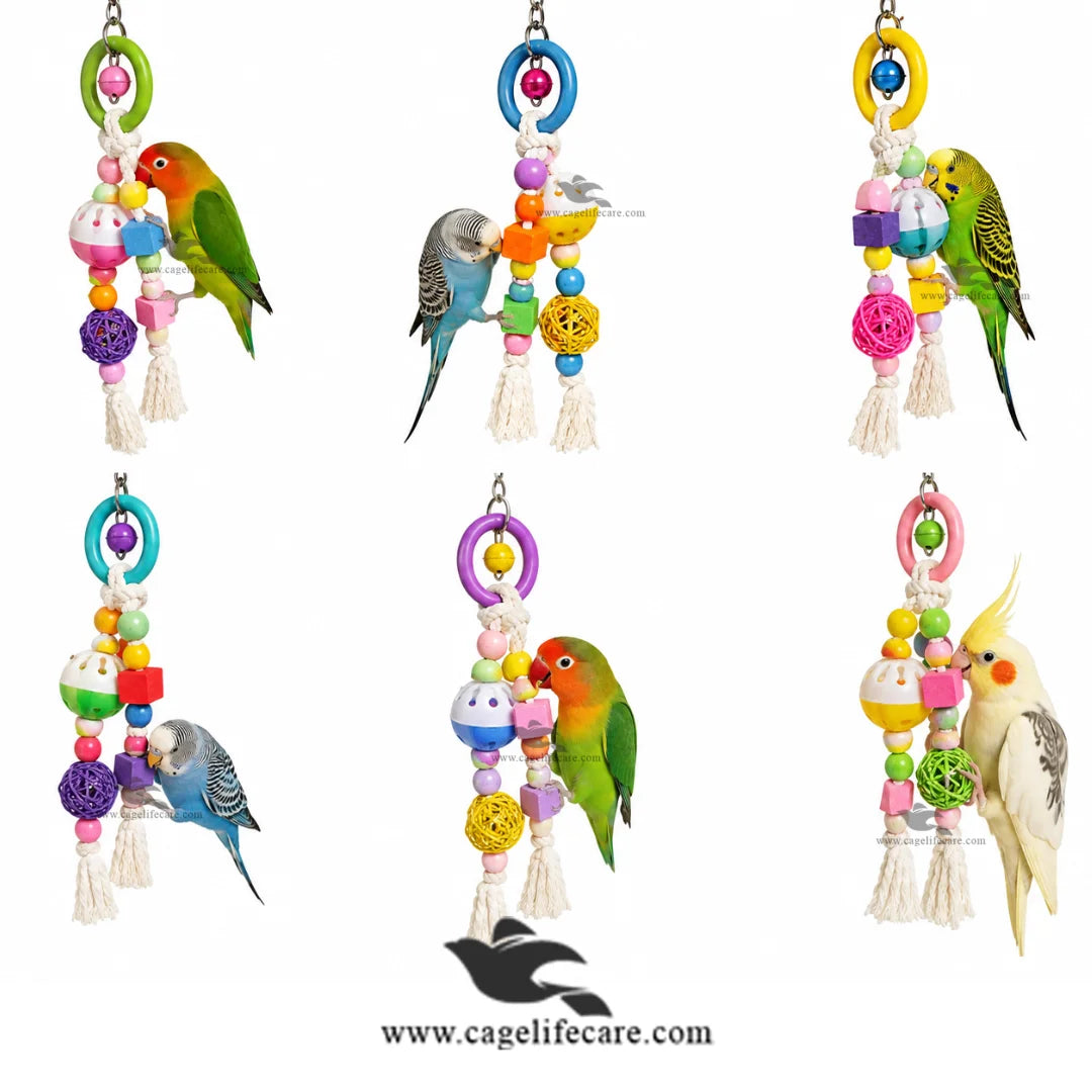 Ring Rope Bird Toy – Jingle Twist Toy for Birds, Fun & Interactive Play
Budgie Parrot Toy
Lovebird Parrot Toy
Cockatiel Parrot Toy
