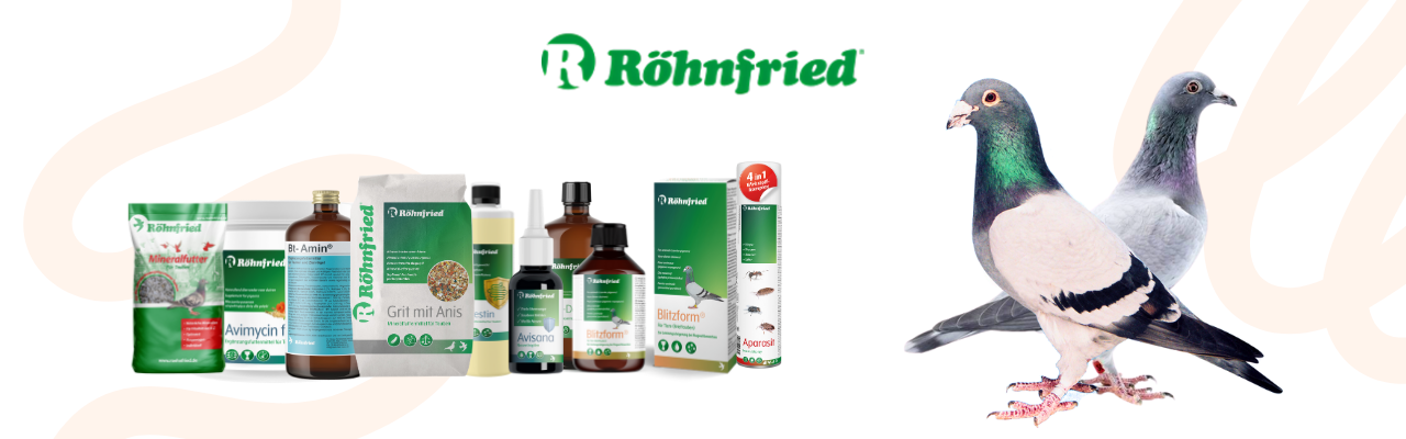 Rohnfried