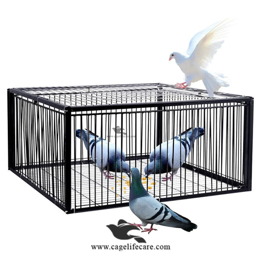 Pigeon Trap Cage – Foldable Metal, 4-Sided Entry