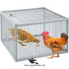 Pigeon Trap Cage - Foldable Metal 4-Sided Entry