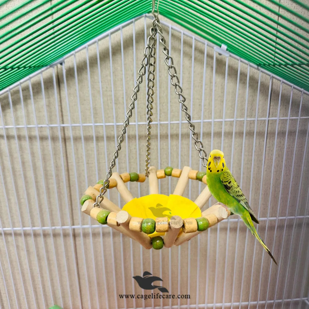 Round Beads Bird Sitting Toy with Natural Wood