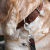 Round Rope Leash for Dogs & Cats – Durable & Comfortable