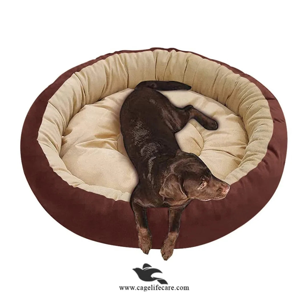 Cozy large pet bed for Dogs in Pakistan