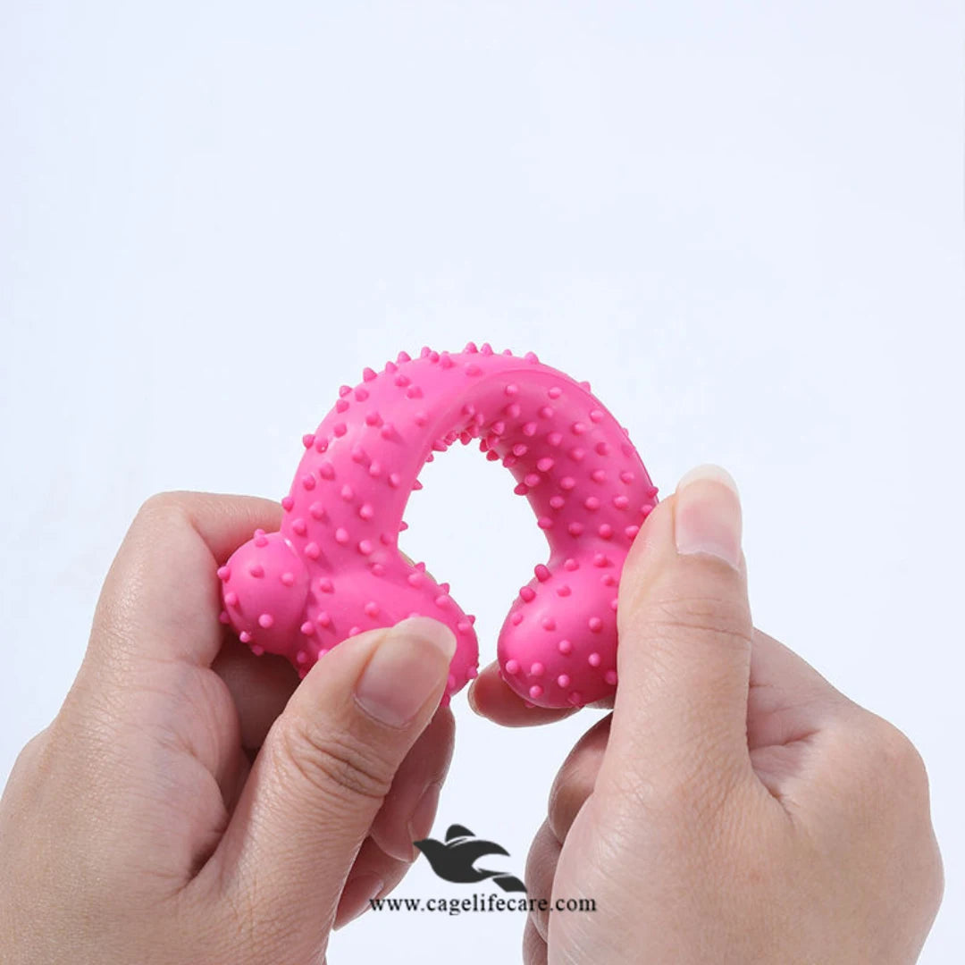 Dental Care Chew Toy for Puppies