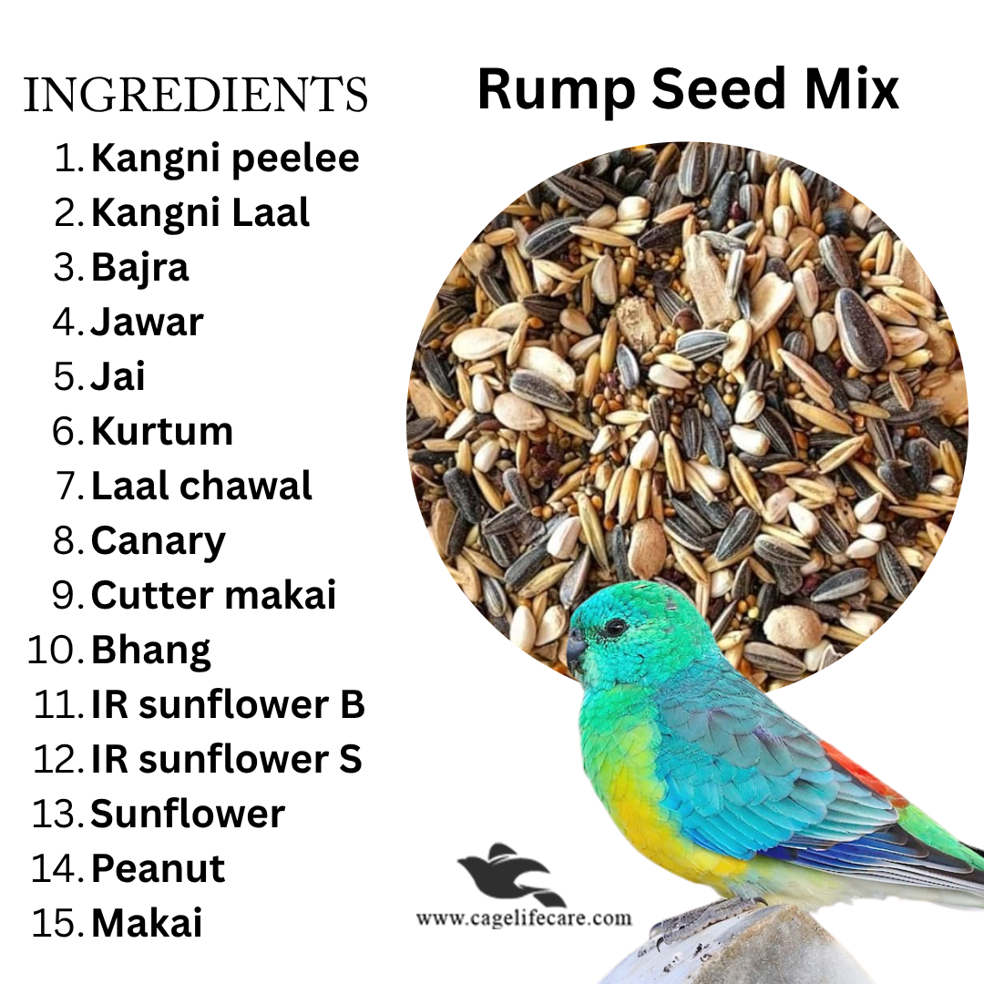 Rump Parakeets Seed Mix Ingredients