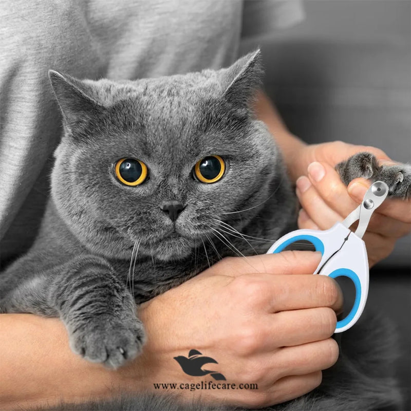 Safe Nail Cutter for Kittens, Cats & Puppies – Stainless Steel Grooming Clipper