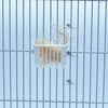 Salad & Nesting Rack For Small Birds