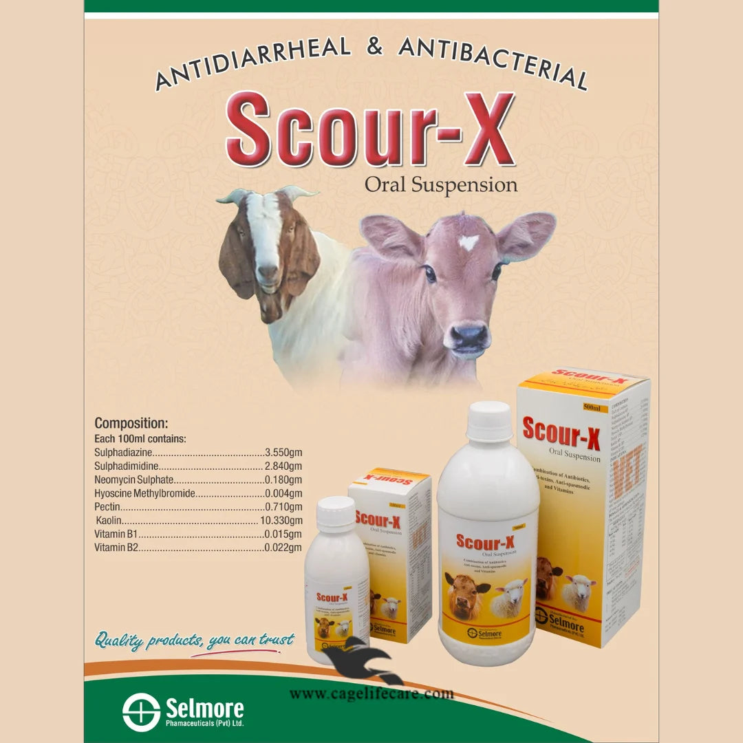 Scour-X Suspension 100ml Bottle by Cage Life Care