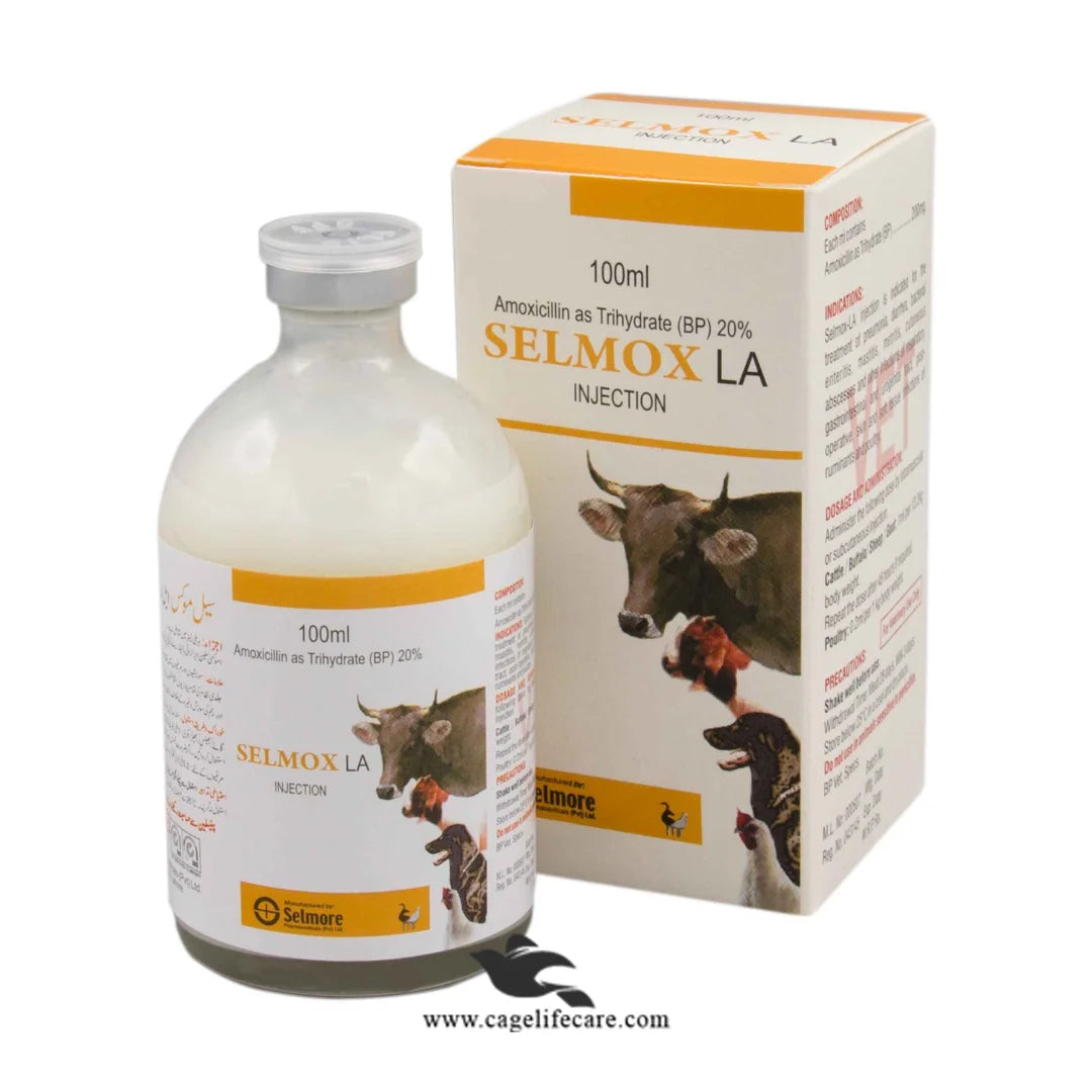 Selmox LA Injection – Long-Acting Amoxicillin for Livestock & Poultry