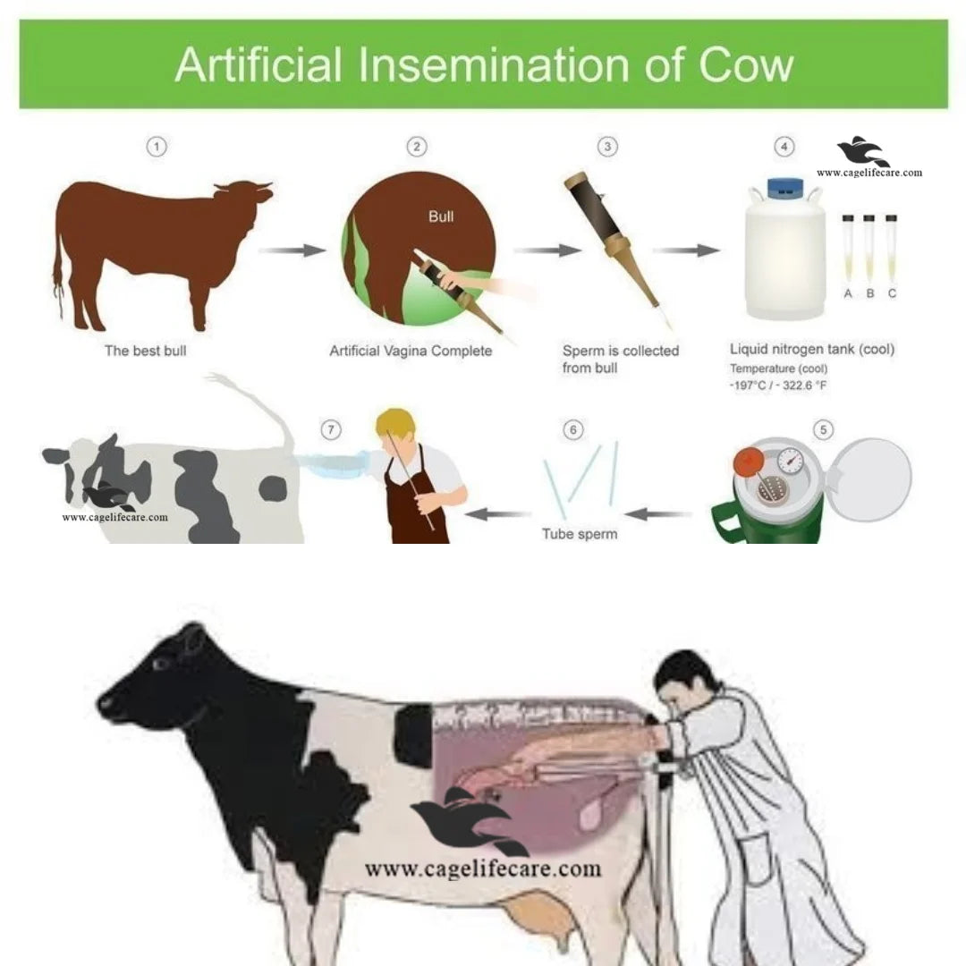 Artificial insemination semen container cover