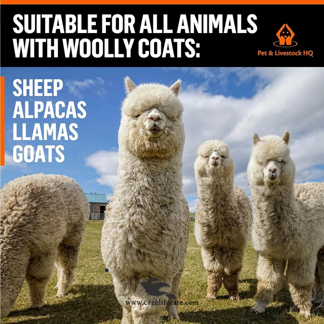 Electric sheep clipper 6 speed control low vibration