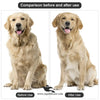 Single-Sided Pet Comb for Cats, Dogs & Small Animals